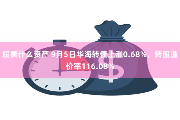 股票什么资产 9月5日华海转债上涨0.68%，转股溢价率116.08%