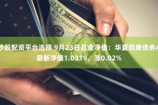 炒股配资平台选择 9月23日基金净值：华夏鼎康债券A最新净值1.0319，涨0.02%