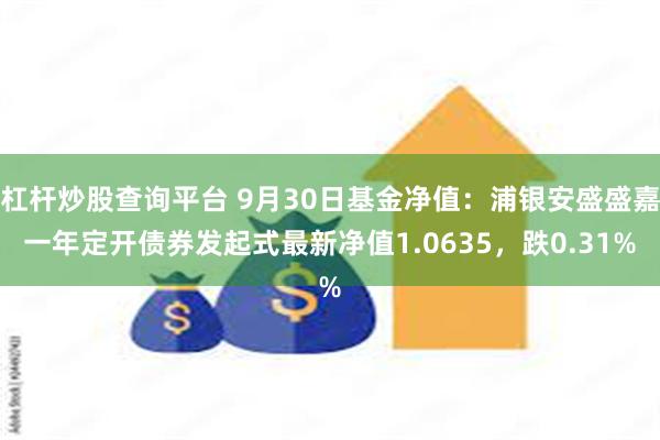 杠杆炒股查询平台 9月30日基金净值：浦银安盛盛嘉一年定开债券发起式最新净值1.0635，跌0.31%