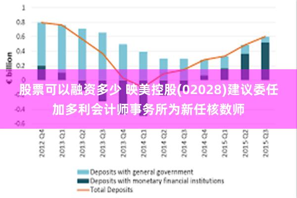 股票可以融资多少 映美控股(02028)建议委任加多利会计师事务所为新任核数师