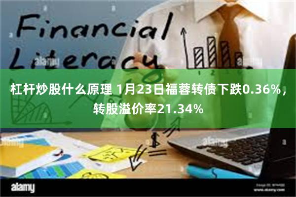 杠杆炒股什么原理 1月23日福蓉转债下跌0.36%，转股溢价率21.34%